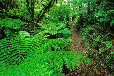 SoftSourcePublishing推出任天堂Switch™ 版FarmingSimulator