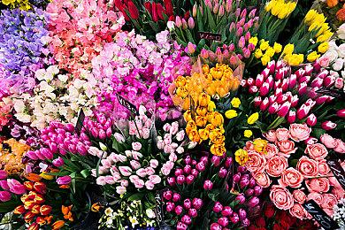 《神乐黎明记  舞歌之章 龙神之怒》上线Steam 9月30日发售