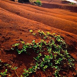 传闻：《极限竞速》新作将于10月10日发售